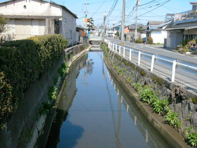 鯉も泳いでいる二の井手