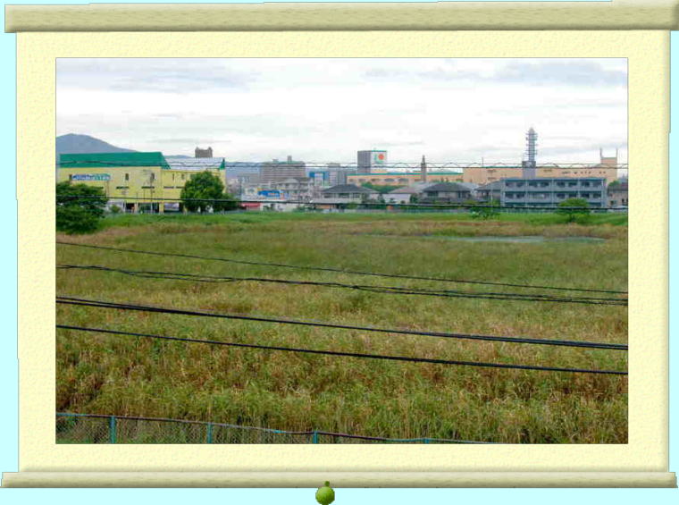 田迎小分離新設校予定地