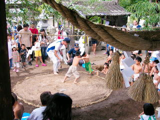 �͂����悢�I�̂������̂������I