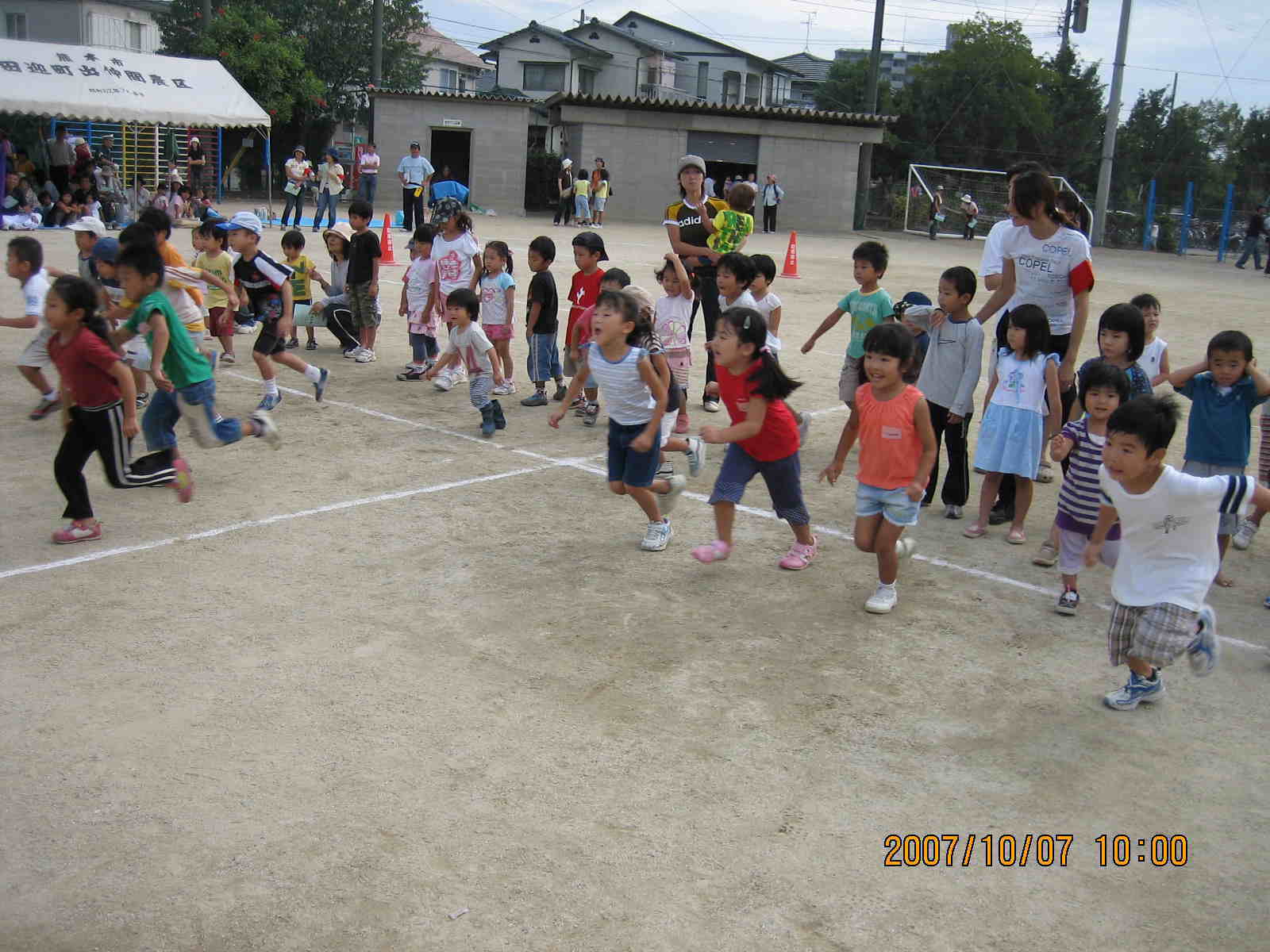 �͂���@�͂���